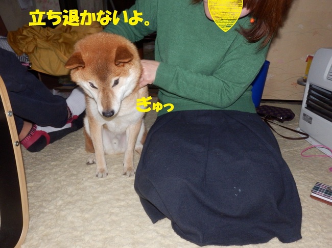 PC263876-1.jpg