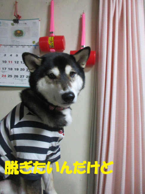 IMG_9139.png